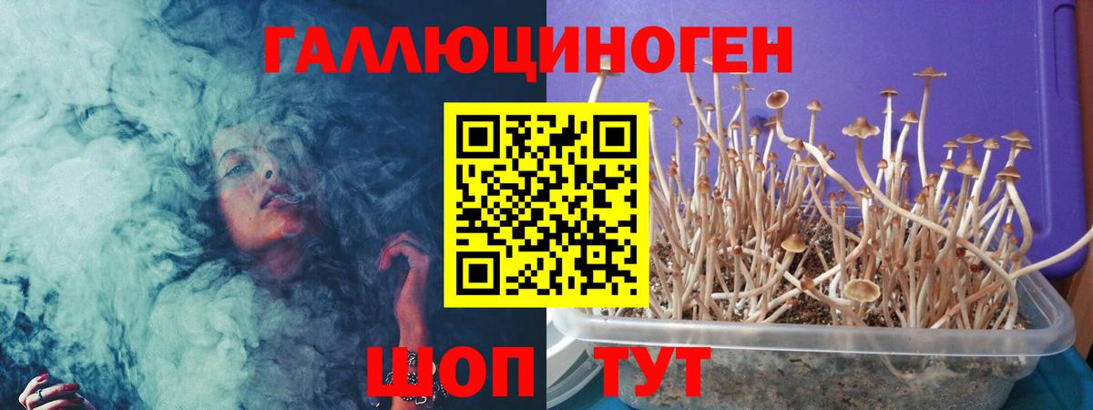 Кемерово  Галлюциногенные грибы Cubensis  Вход с VPN  Псилоцибиновые грибы Magic Shrooms 
